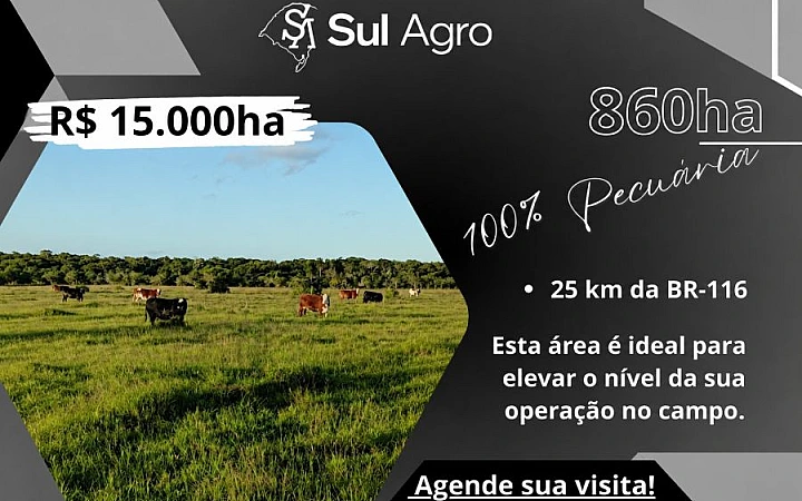 PECUÁRIA/SOMENTE CAMPO Área