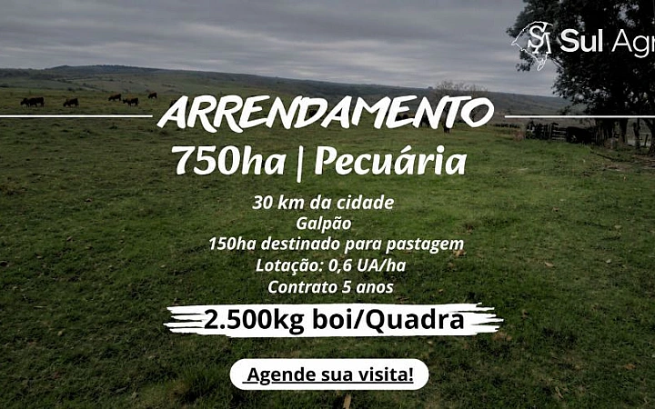 Pecuária/2.500kg boi/quadra Área