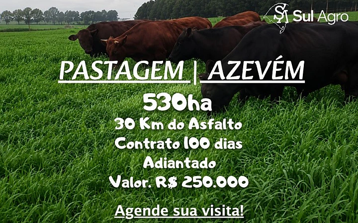 PASTAGEM /AZEVÉM Área