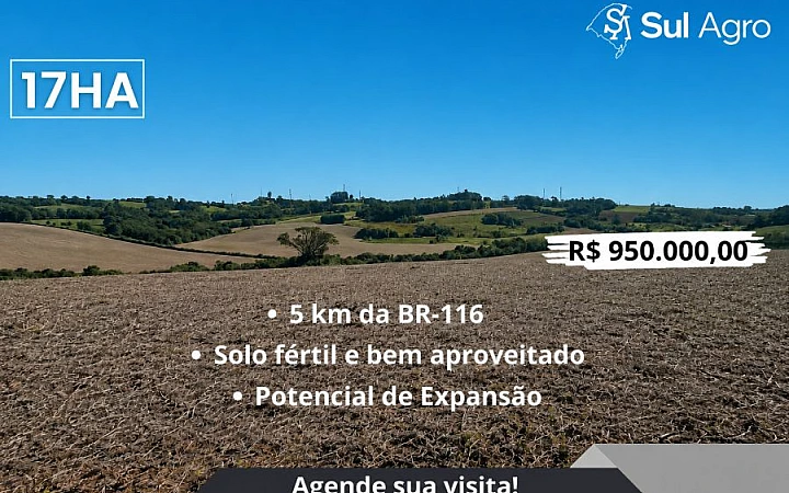 SOJA/SOMENTE CAMPO Área