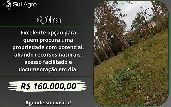 SOMENTE CAMPO Sítio
