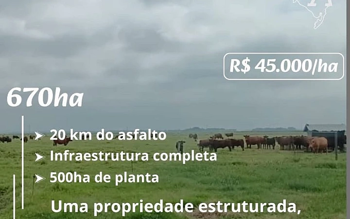 SOJA/ARROZ Fazenda