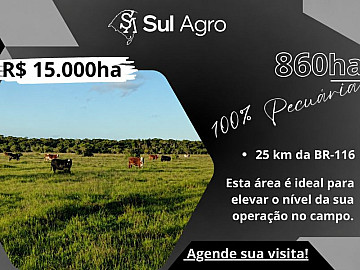 PECU�RIA/SOMENTE CAMPO