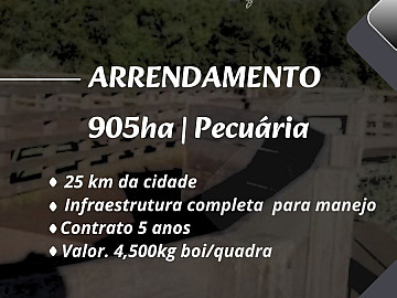 Pecu�ria/4.500kg boi/qadra