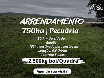 Pecu�ria/2.500kg boi/quadra