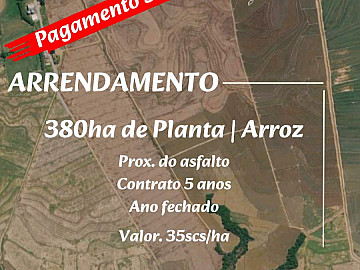 ARROZ/ANO FECHADO/PAG SAFRA