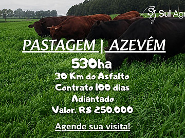 PASTAGEM /AZEV�M