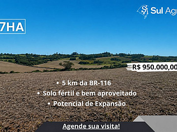 SOJA/SOMENTE CAMPO