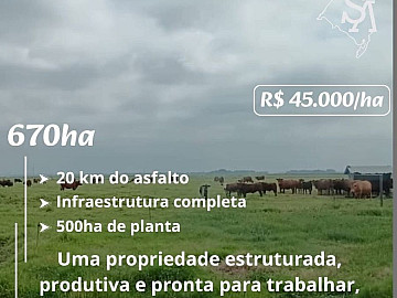 SOJA/ARROZ