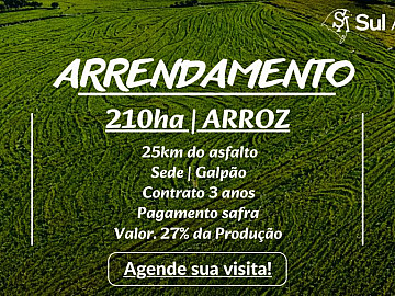 ARROZ/PAGAMENTO SAFRA