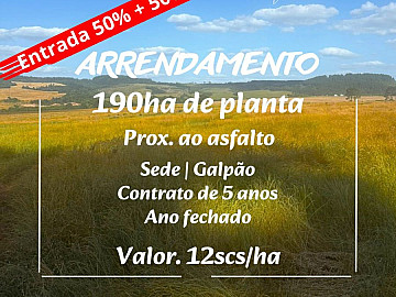 SOJA/ANO FECHADO