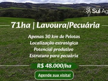 SOJA/SOMENTE CAMPO