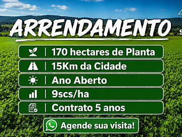 SOJA/ANO ABERTO