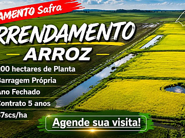 ARROZ /ANO FECHADO